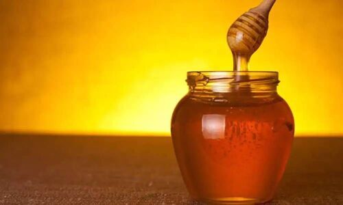 Pure Organic Forest Honey