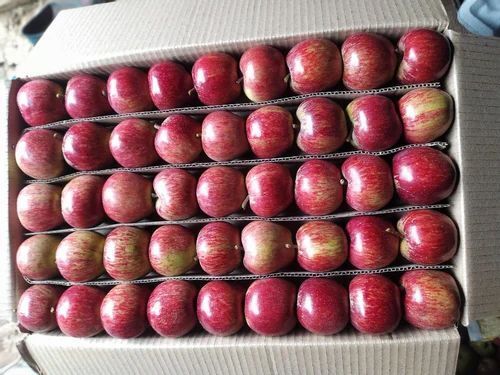 Indian Origin Crispy Natural Sweet Apple Fruit