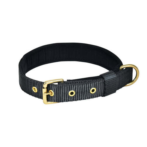 Black Pin Buckle Dog Collar Neck Belt