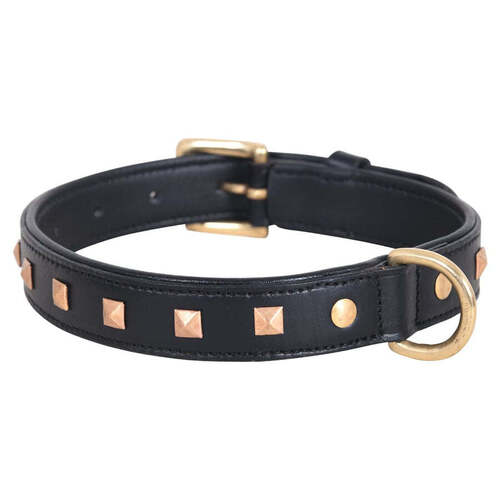 Studded brushed leather pet collar