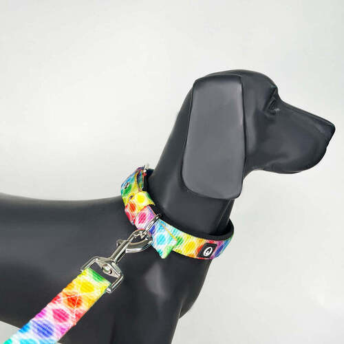 Candy Pop Pin Buckle Dog Collar