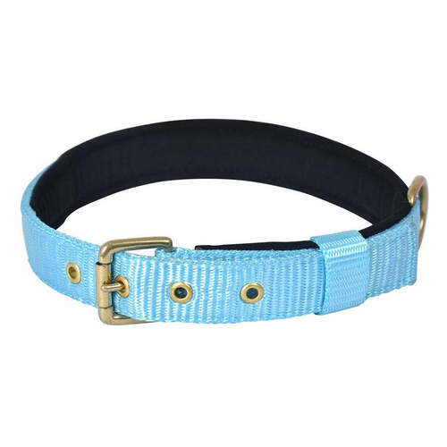 Cocktail Blue Pin Buckle Dog Collar Neck Belt