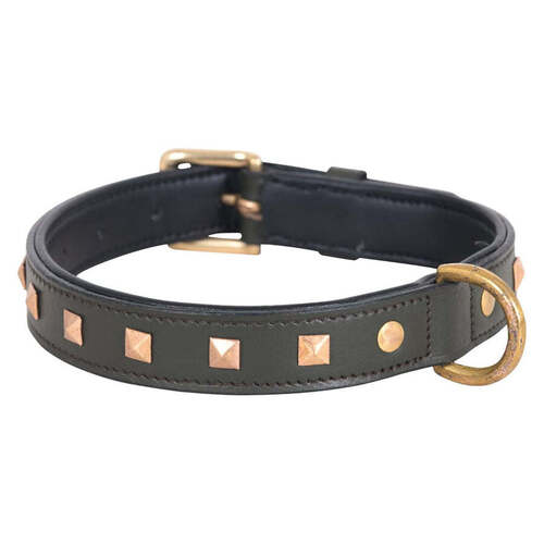 Olive Green Studded Leather Dog Collar