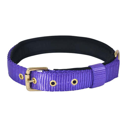 Pin Buckle Dog Collar Neck Belt