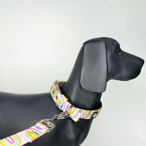 Pride Pin Buckle Collar