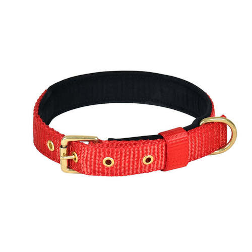 Red Pin Buckle Dog Collar Neck Belt