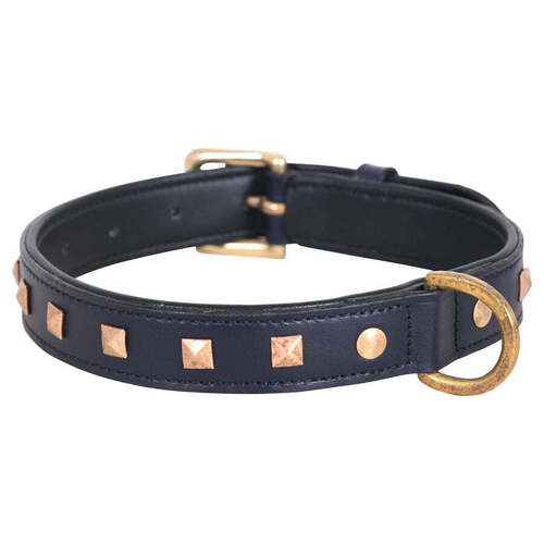 Studded Leather Dogs Collar