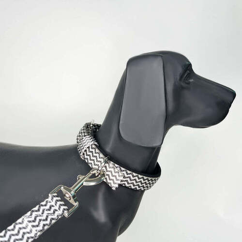 Tuxedog Pin Buckle Dog Collar