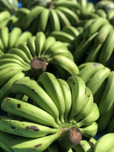 Geen Green Cavendish Banana