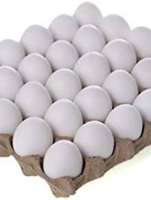 poultry eggs