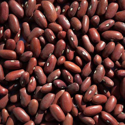 Kidney Beans Broken Ratio (%): 2%