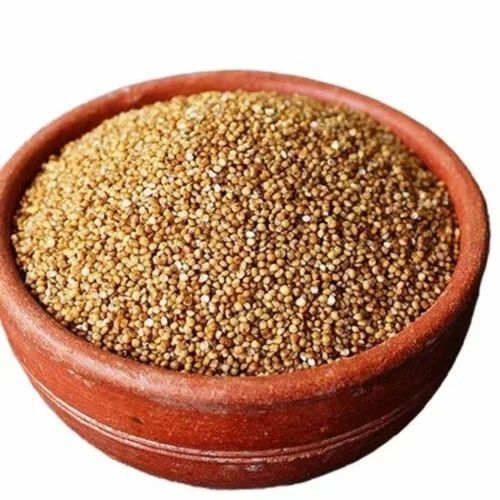 Organic Kodo Millet