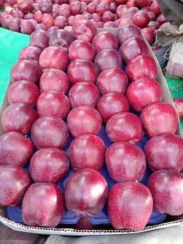 Red kinnaur apple