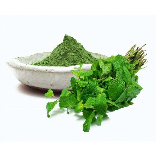 Mint Powder - AAA Grade, Green Color , Natural Dried Mint for Culinary Use with Fresh and Aromatic Flavor, 100g Pack