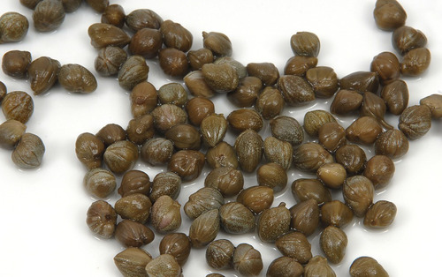 Round Capers - 100 Grams, Dark Green, AAA Grade, Raw Buds, Salty, Rich, and Tangy Flavor for Mediterranean Dishes
