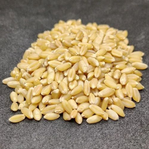 100% Organic Wheat Grain