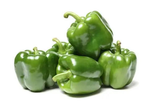 Capsicum