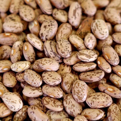 Pinto Beans - Medium Size Oval Shape, Speckled Reddish Brown Over Pale Pink Base, High Fiber Content, Eco-friendly Farming, Nutrient-rich Wholesome Choice, Delicious Flavor