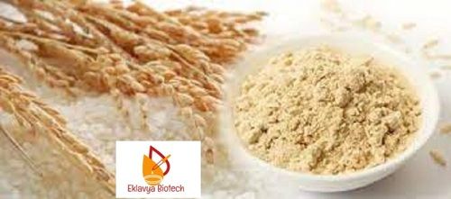 Rice Protein Isolate Dosage Form: Powder