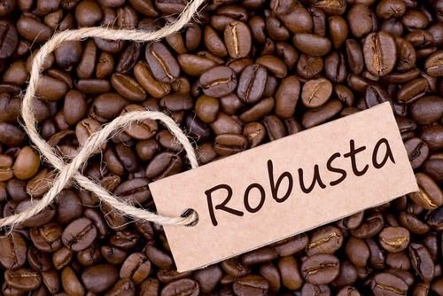 Robusta Coffee Beans Burnt Or Woody.