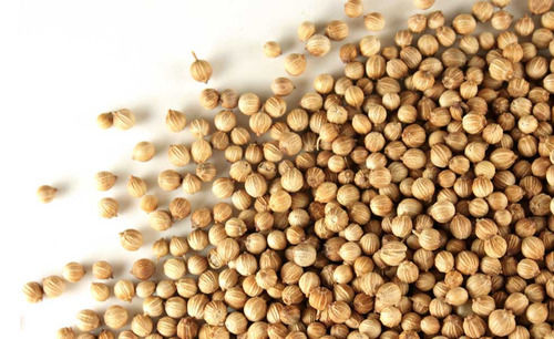 Coriander Seeds Admixture (%): 2%