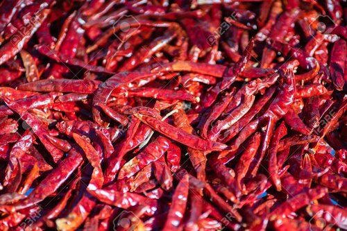 Dried Red Chili