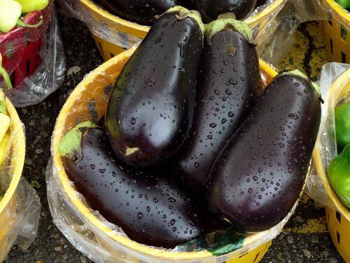 brinjal