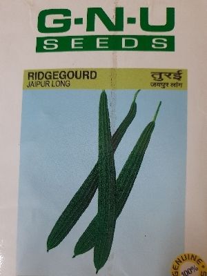 Ridge Gourd Seeds