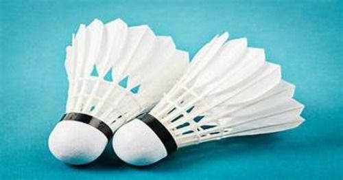 Badminton shuttlecock 