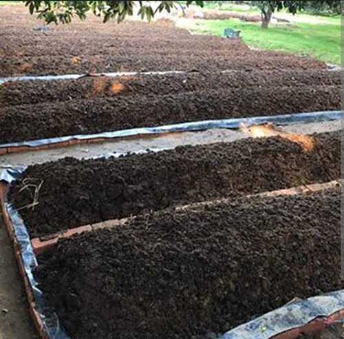 Vermicompost Fertilizer