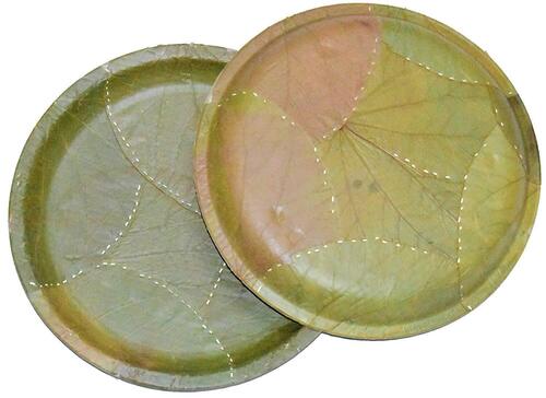 Round Shape Heat and Cold Resistant Single Compartment Disposable Areca Leaf Plates