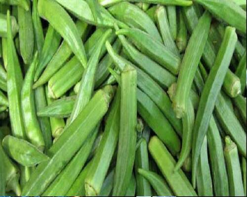 Organic Okra Lady Finger