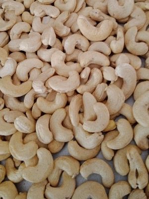 cashew nut kernel