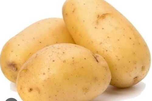 fresh potato