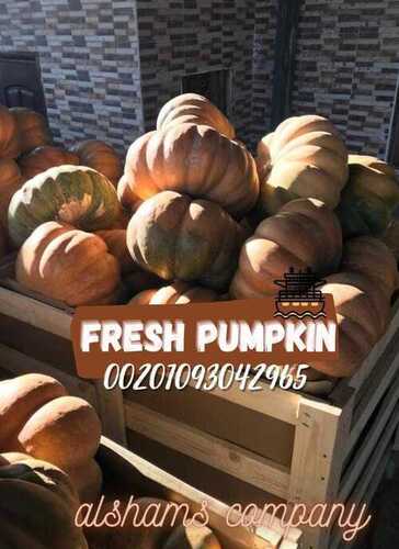 fresh pumpkin