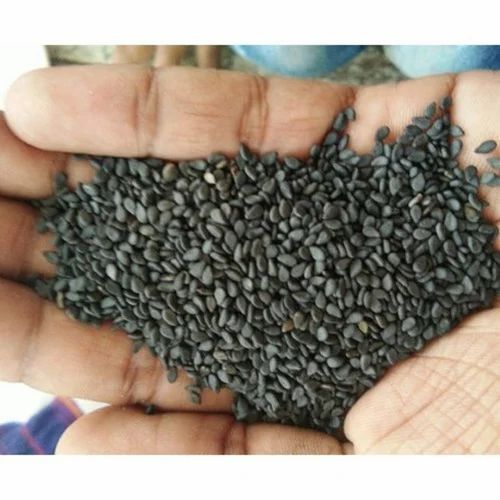 Organic Black Sesame Seeds