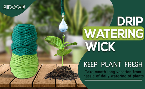 Self Water Wick Spike for Vacation Plants Watering & Hydroponics