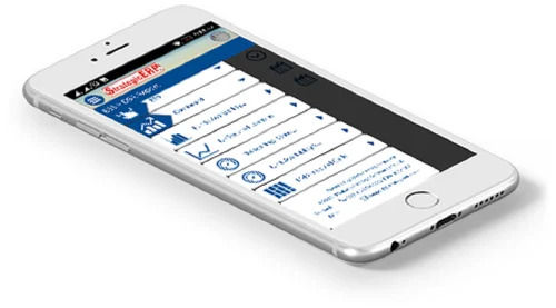 Strategic ERP Mobile App Software