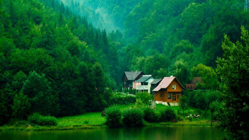 nature wallpaper
