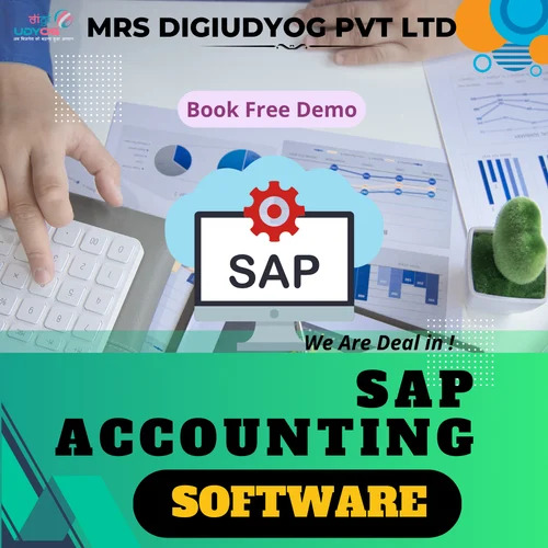SAP Accounting Software Development Services By MRS Digiudyog Pvt Ltd