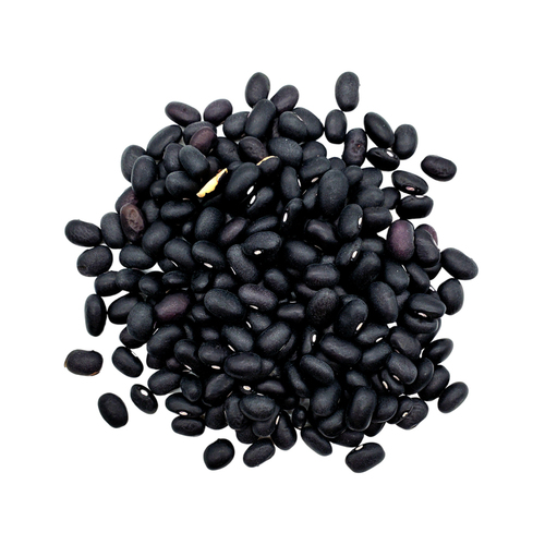 Wholesale Commonly Cultivated Dried Black Kidney Beans at Best Price in