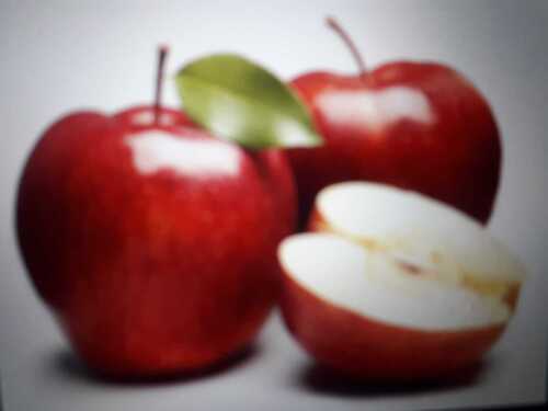 fresh apple
