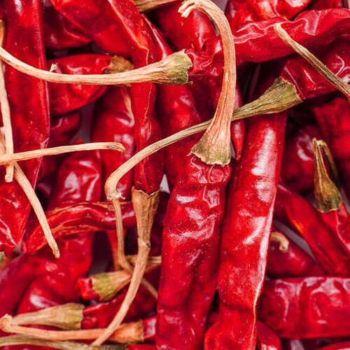 Red Chilli