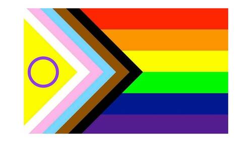 polyester Pride Flag