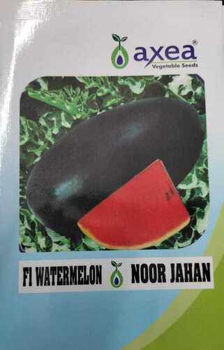 water melon seeds 