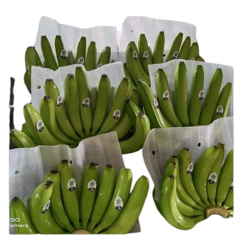 Rich In Protein Green Cavendish Banana