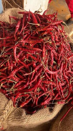 Red Chillies