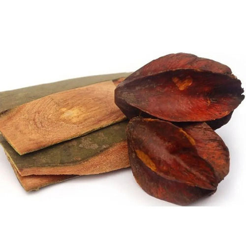 Herbal Terminalia Arjuna Extract