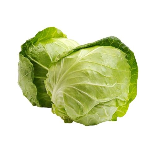 Cabbage