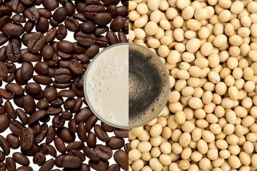 Highly Nourishing Soya Coffee Beans 